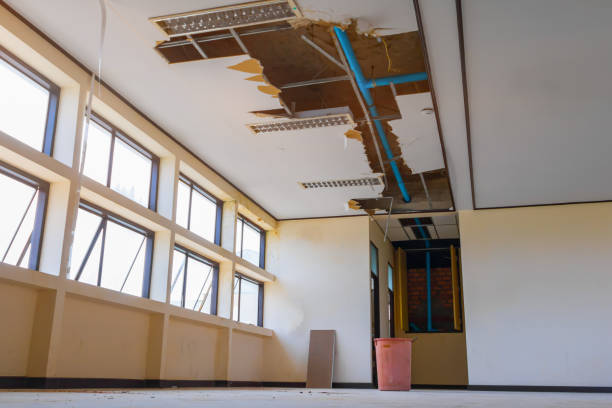 Best Local water damage restoration  in Rockledge, FL