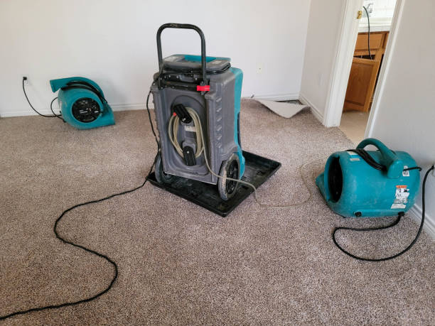 Best Sewage cleanup and water damage restoration  in Rockledge, FL