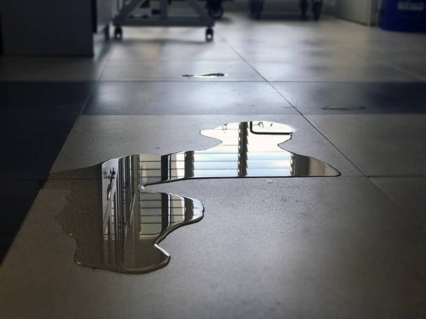 Best Water damage repair service  in Rockledge, FL