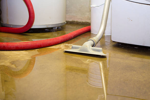 Best Mold removal after water damage  in Rockledge, FL