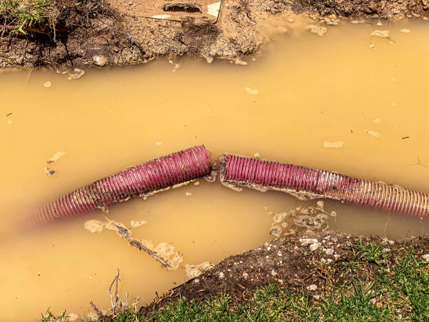 Best Water damage cleanup near me  in Rockledge, FL
