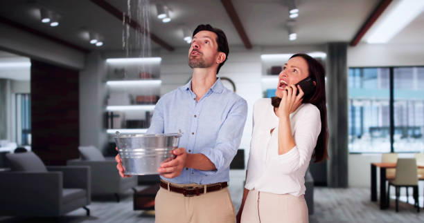 Best Flooded house restoration  in Rockledge, FL